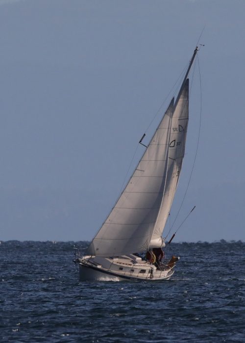 Starlight Sailing Adventures, Sooke, BC, Victoria, BC, Vancouver Island