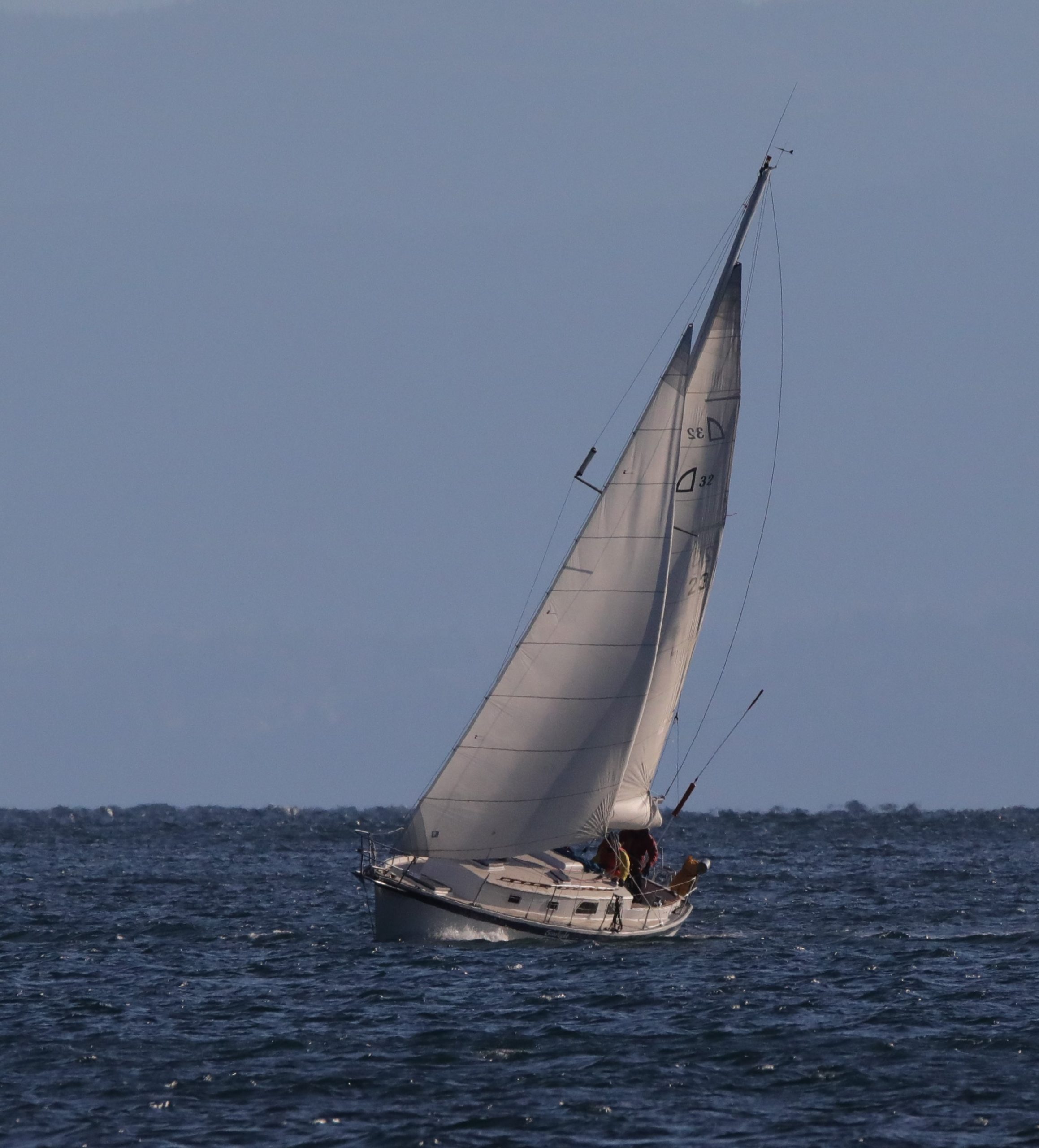 Starlight Sailing Adventures, Sooke, BC, Victoria, BC, Vancouver Island